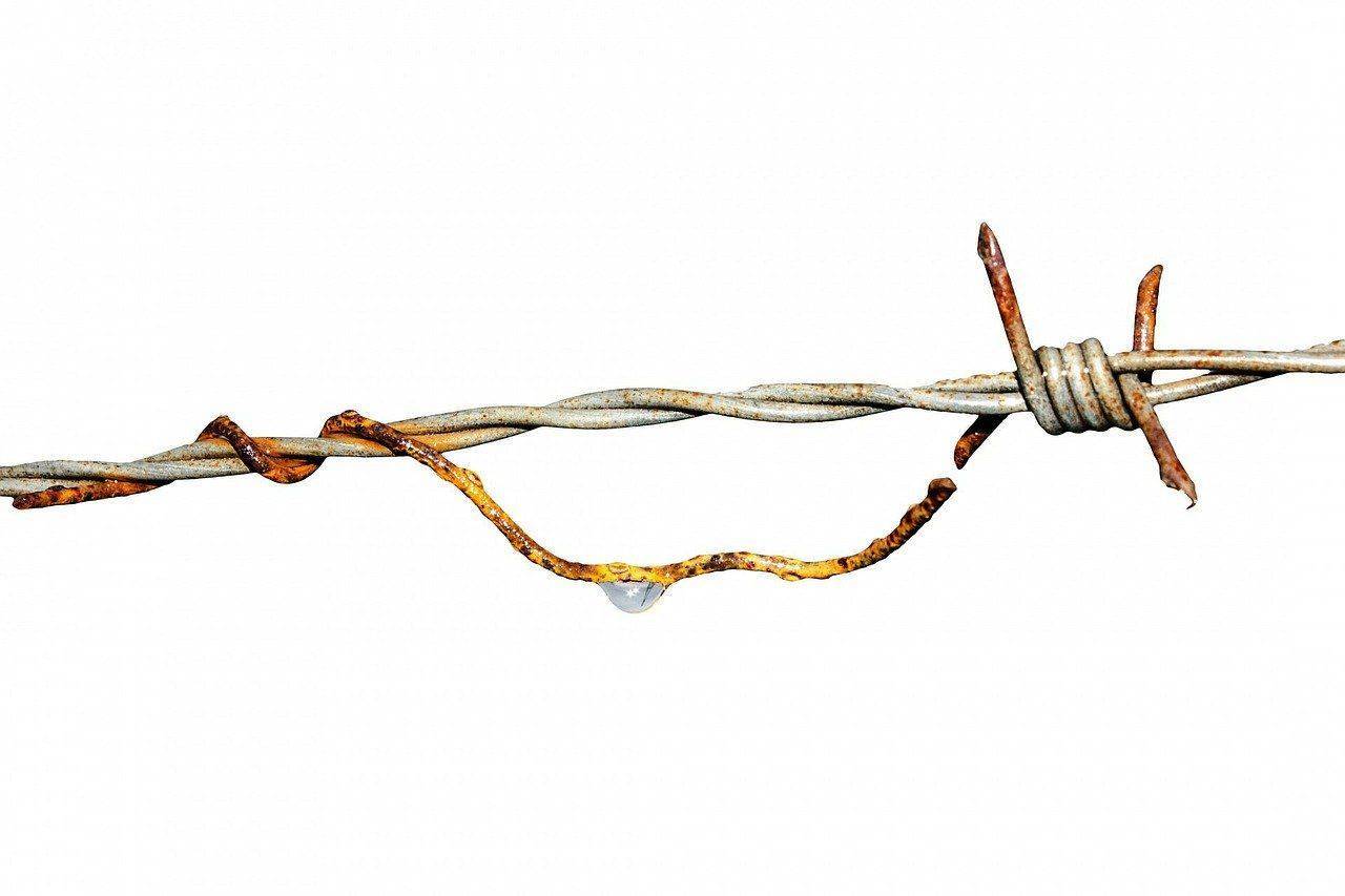 Les meilleurs vélo en acier